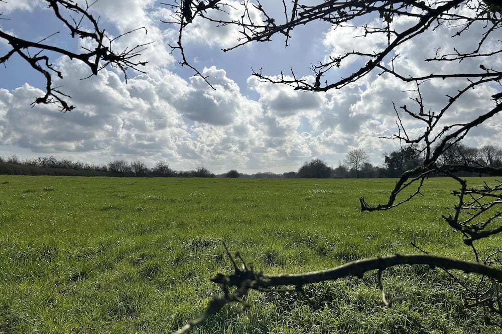 Photo of Others in Farley