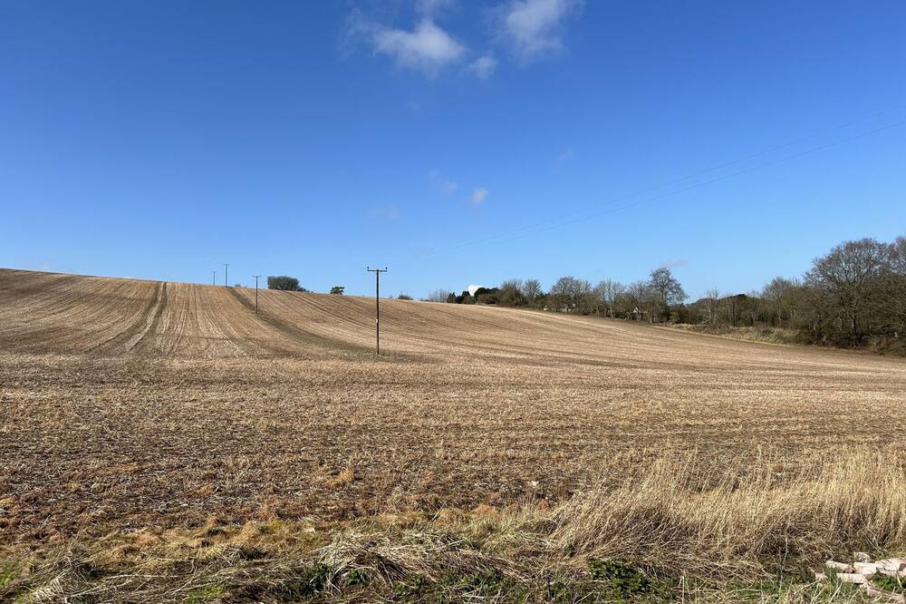 Photo of Others in Farley