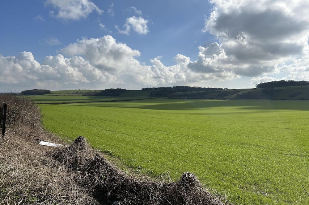 Photo of Others in Farley