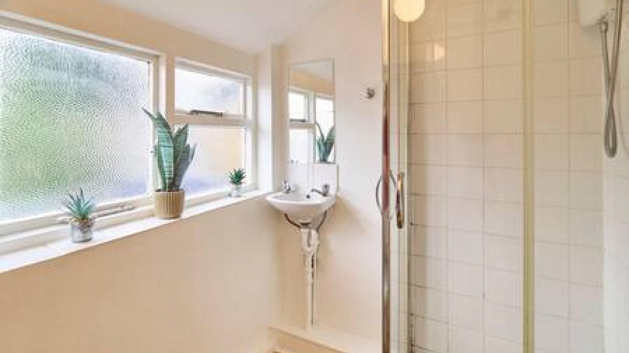 Photo of Others in Canterbury