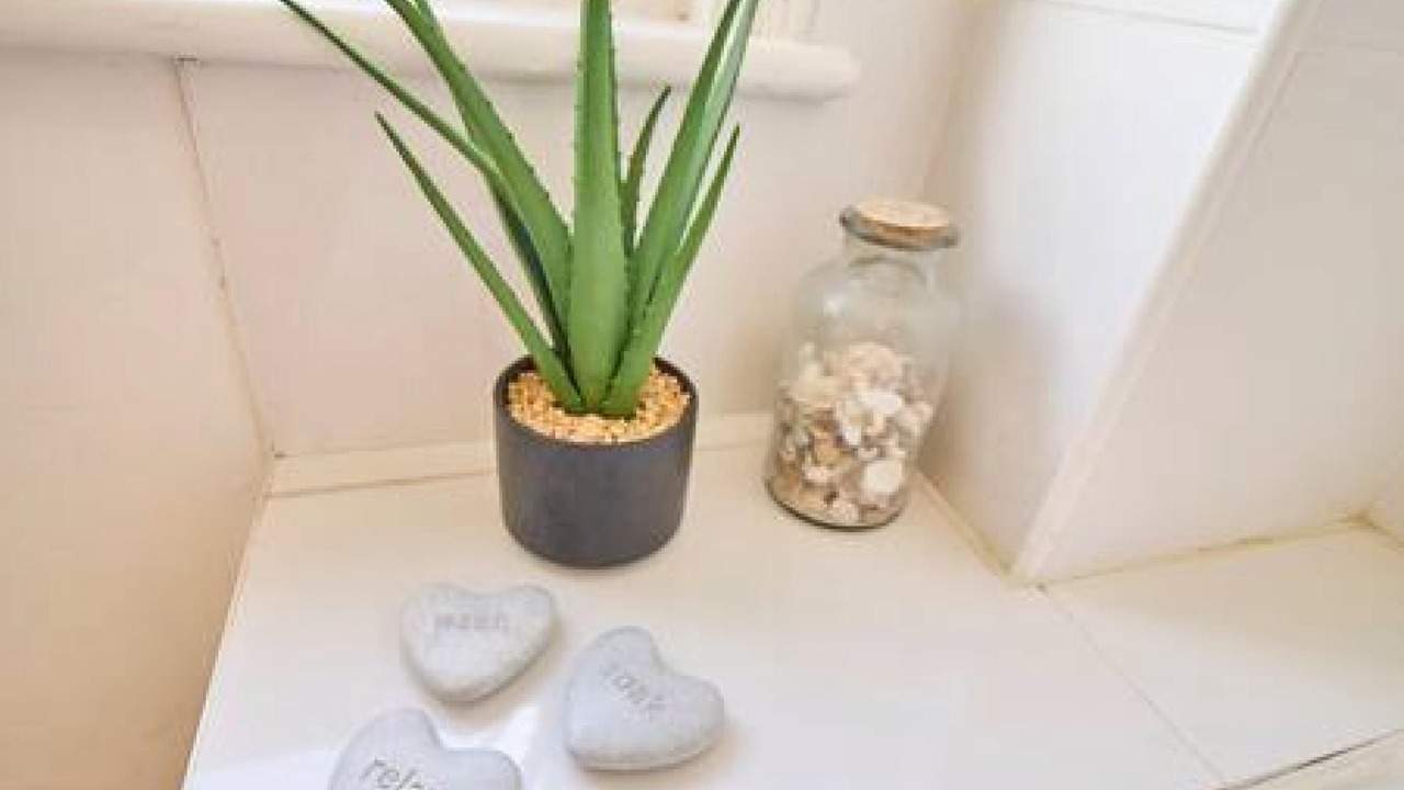 Photo of Others in Canterbury