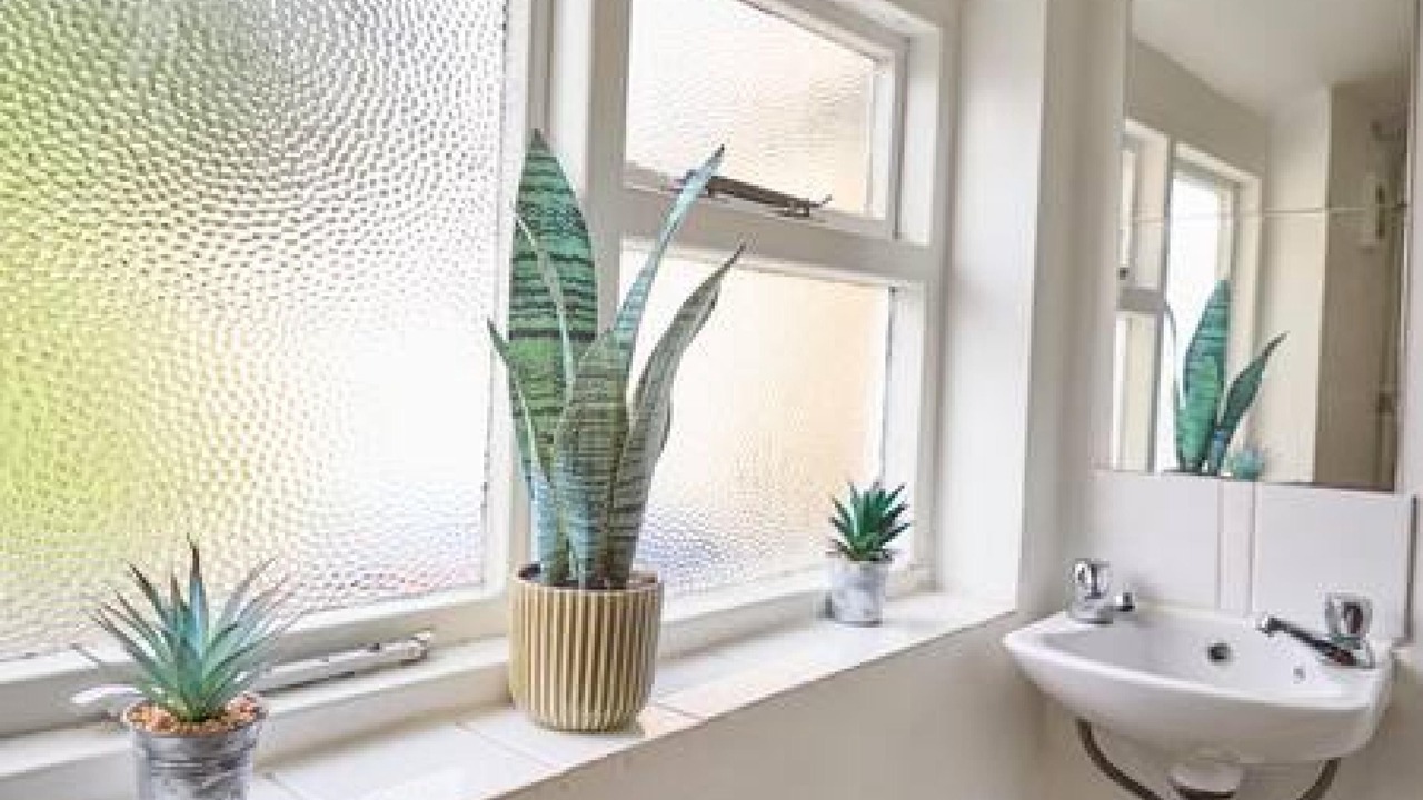 Photo of Others in Canterbury