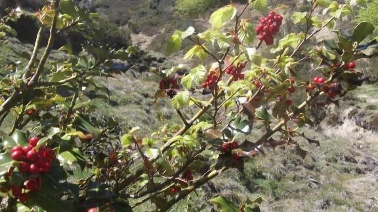 Photo of Outdoor in Saint-Lary