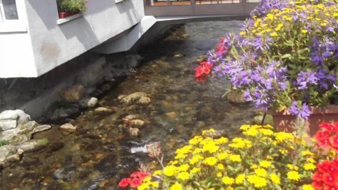 Photo of Outdoor in Saint-Lary