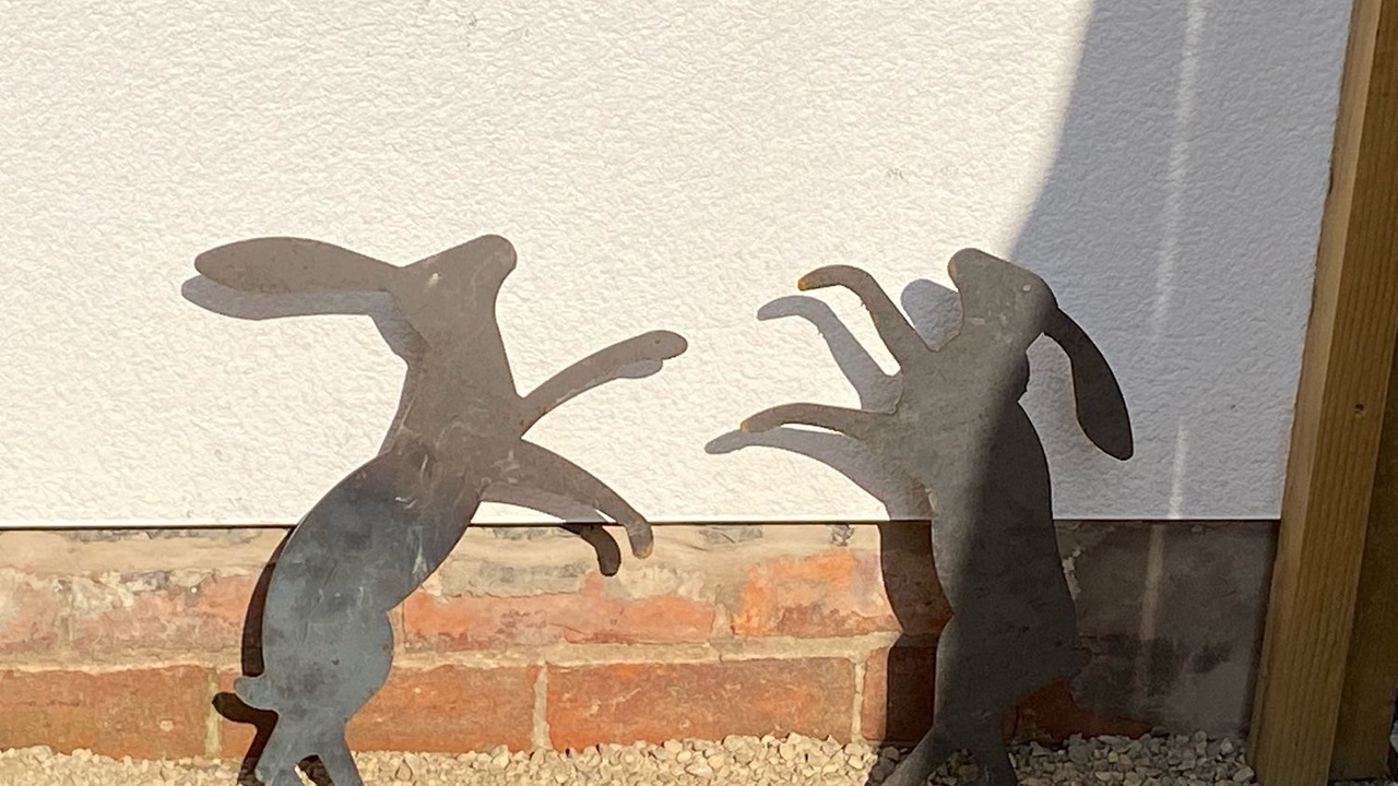 Photo of Outdoor in Church Minshull