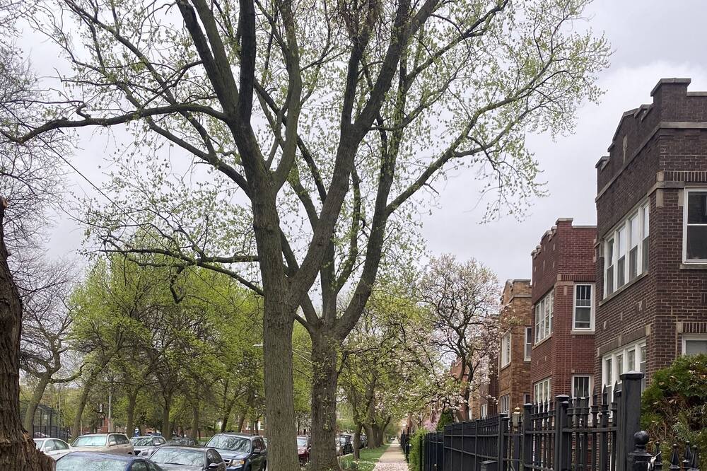 Photo of Outdoor in Logan Square