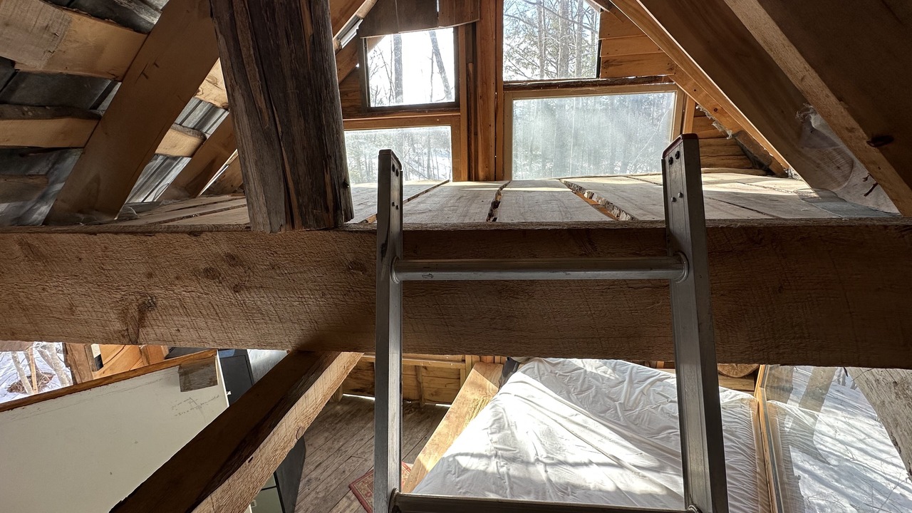 Photo of Others in Dorchester