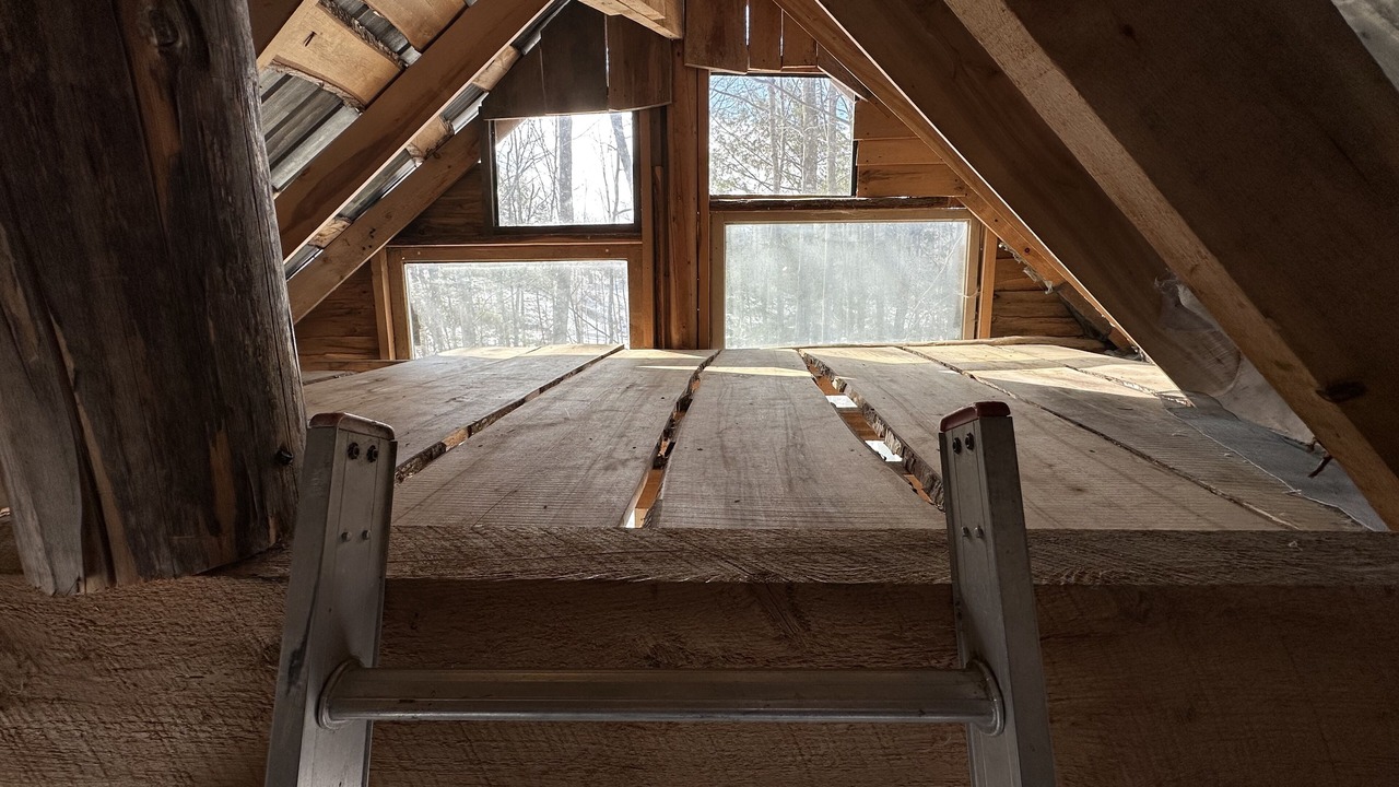 Photo of Others in Dorchester