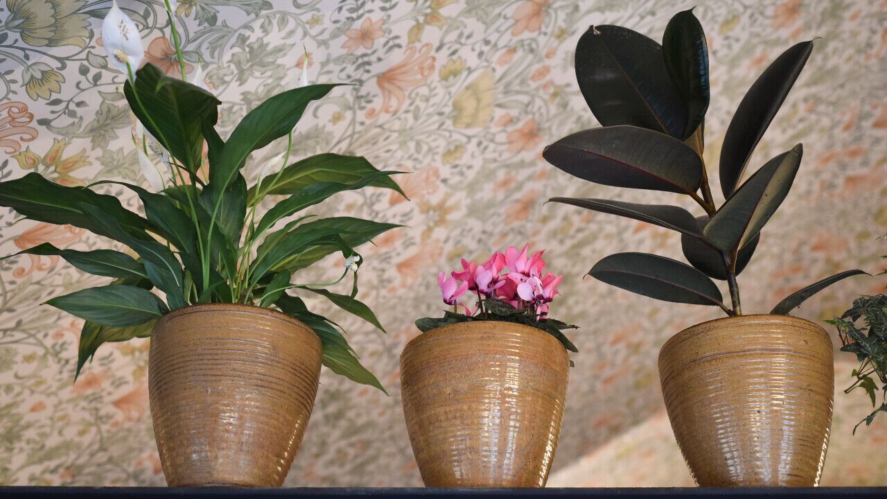 Photo of Others in Emsworth