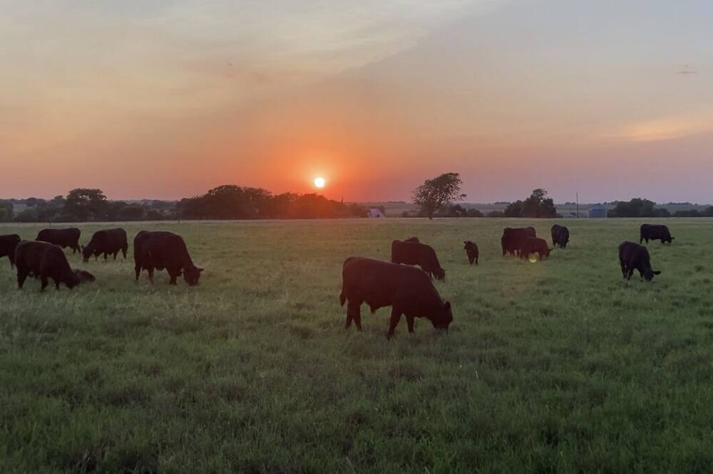 Photo of Others in McGregor