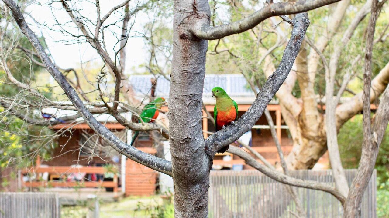 Photo of Others in Aireys Inlet