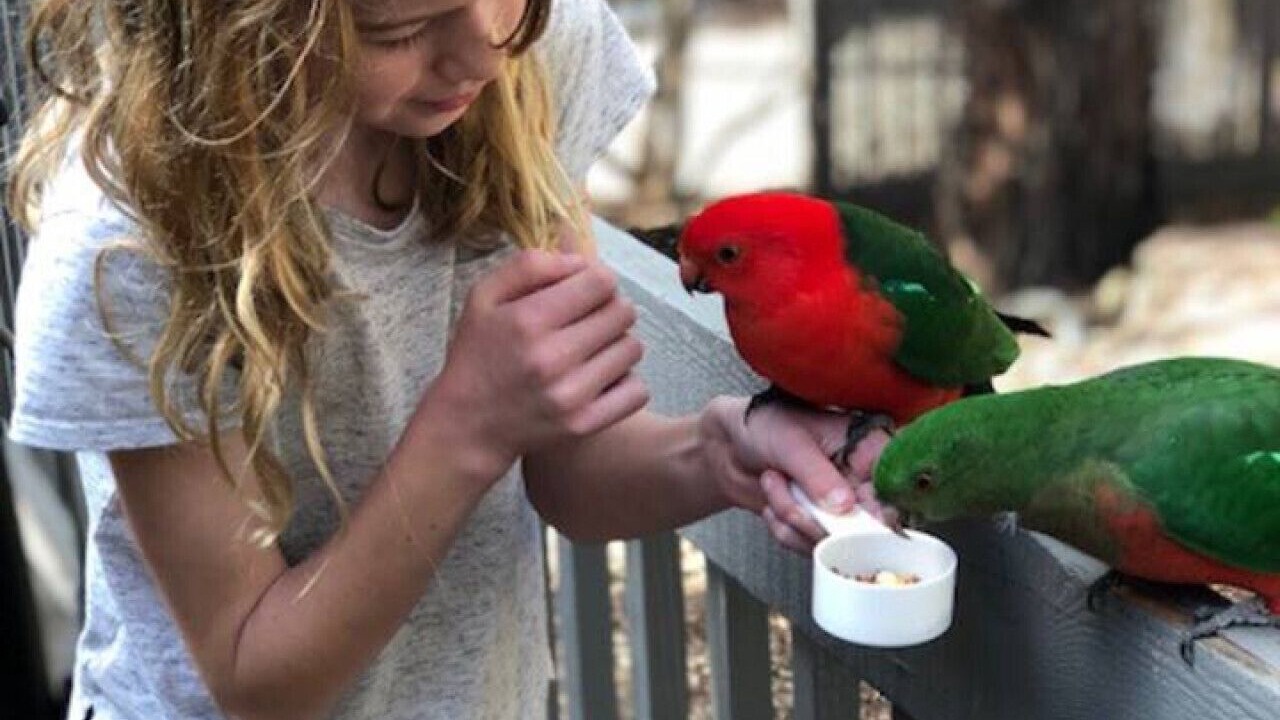 Photo of Others in Aireys Inlet