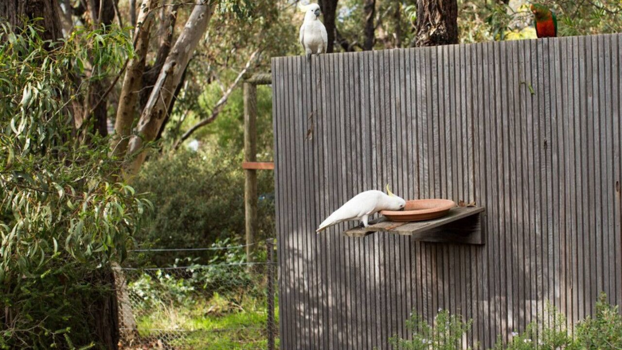 Photo of Outdoor in Aireys Inlet