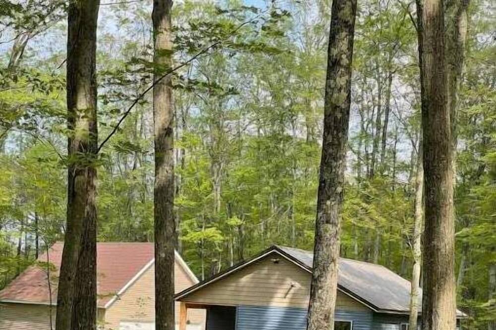 Photo of Outdoor in Irons