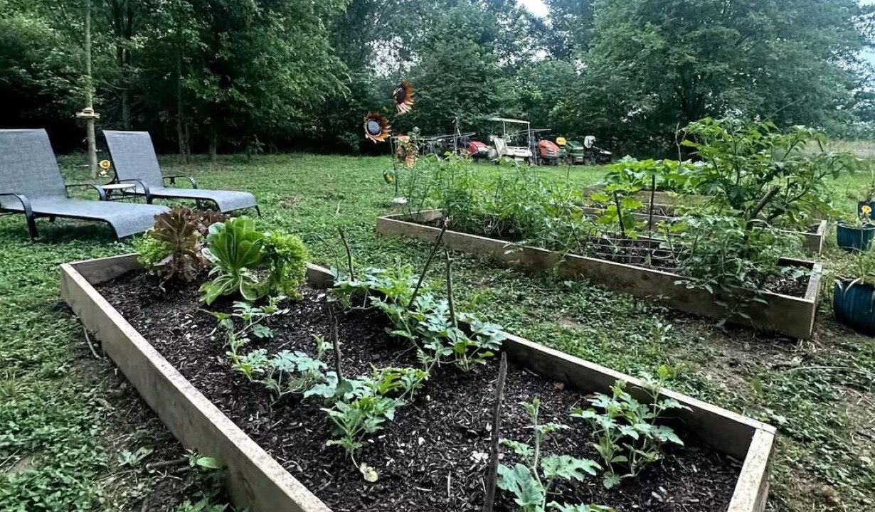 Photo of Outdoor in Mc Caskill