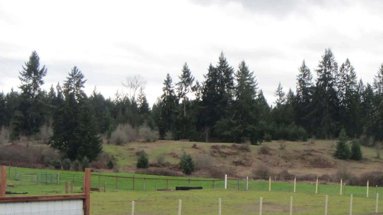 Photo of Others in McKenna