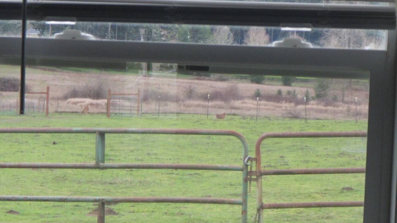 Photo of Others in McKenna