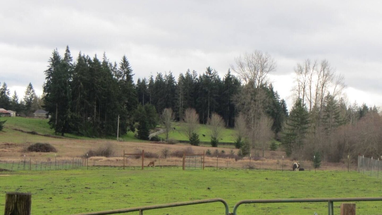 Photo of Others in McKenna