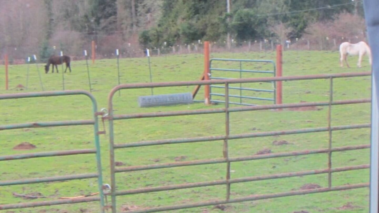 Photo of Others in McKenna