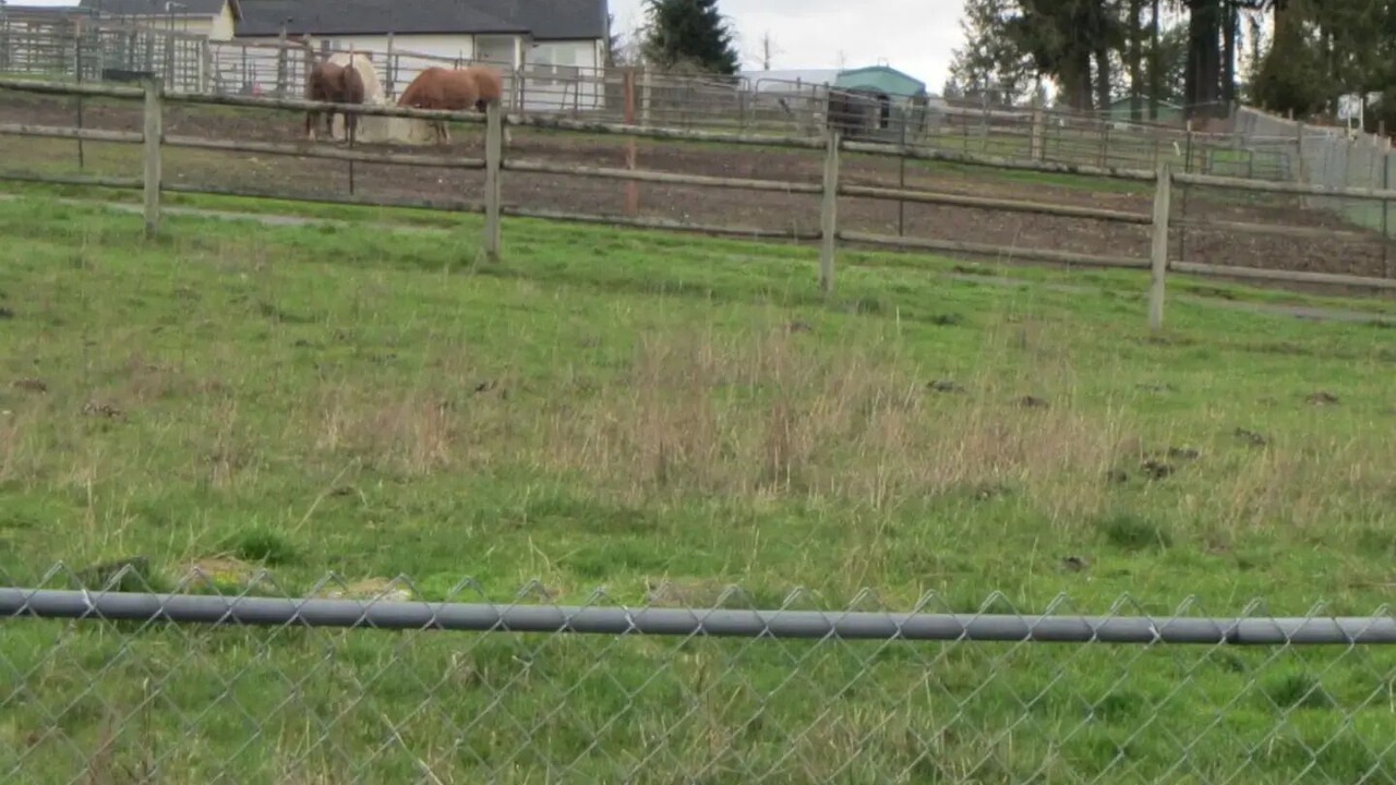 Photo of Outdoor in McKenna