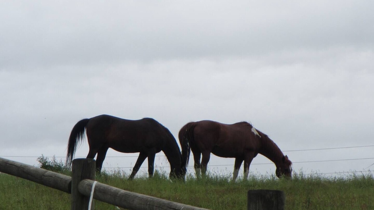 Photo of Others in McKenna