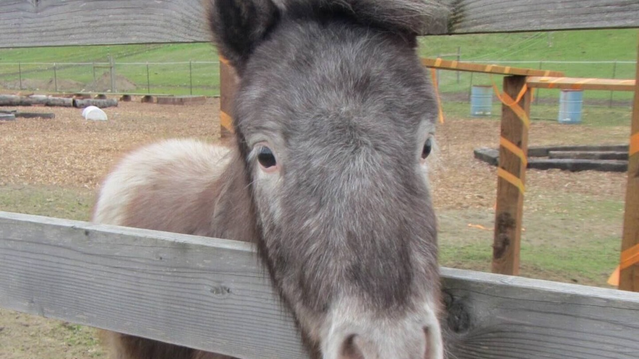 Photo of Others in McKenna