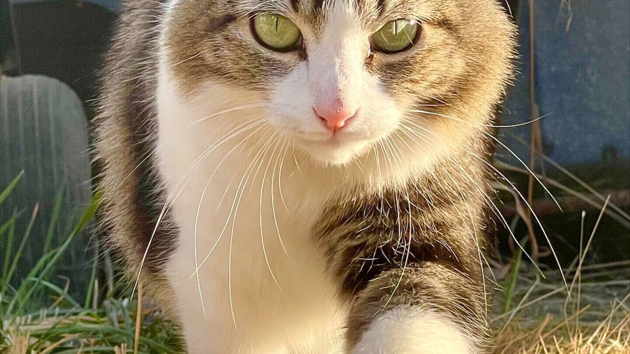 Photo of Others in McKenna