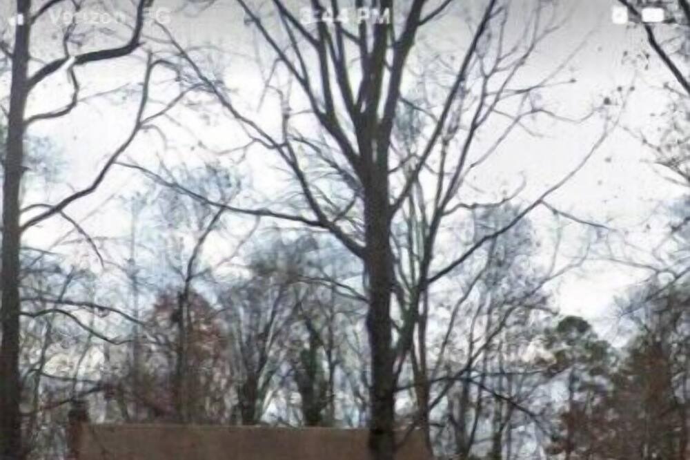 Photo of Outdoor in Laurel