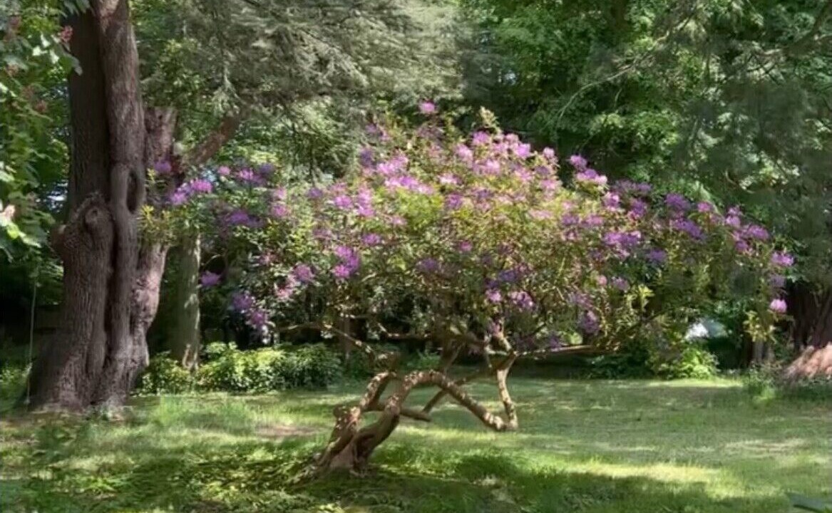Photo of Outdoor in Saint-Martin-aux-Arbres