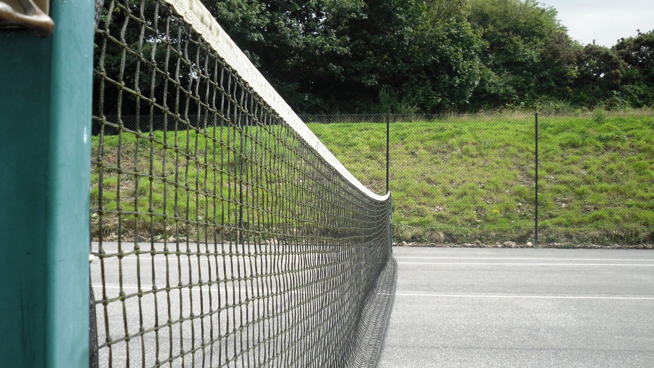 Photo of Others in Carnon Downs