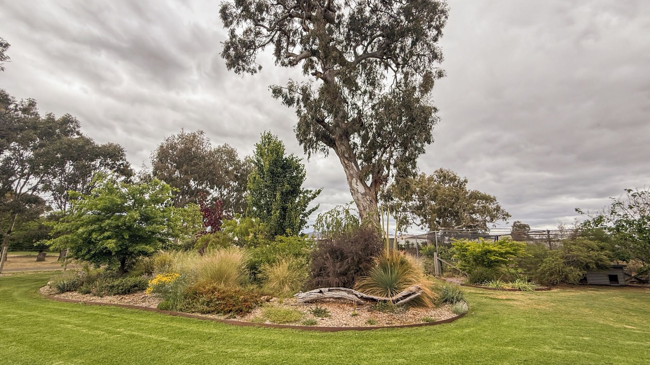 Photo of Outdoor in Mansfield