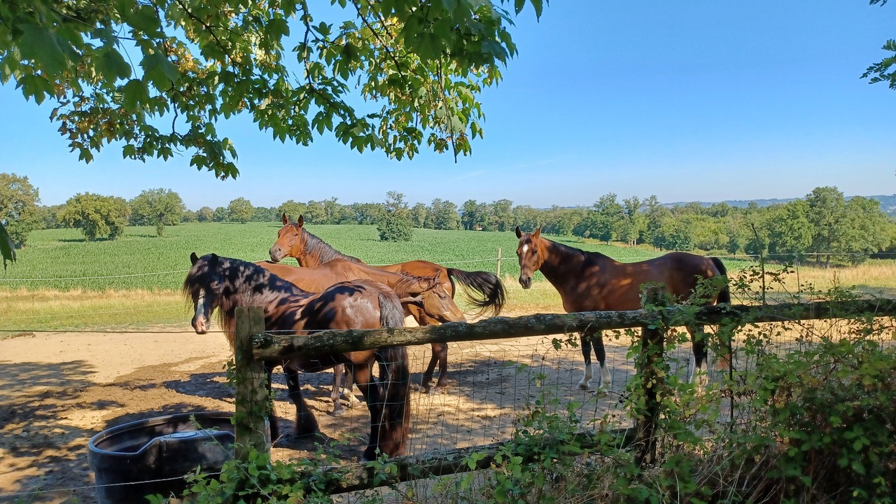 Photo of Outdoor in Chabanais