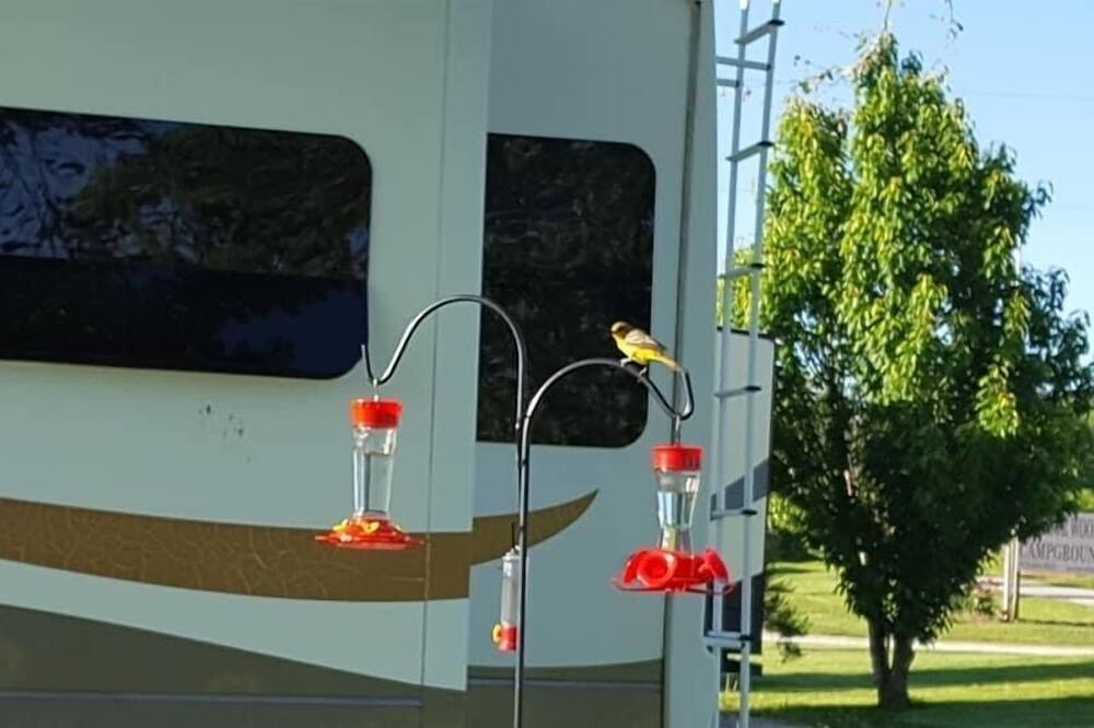 Photo of Outdoor in Clinton
