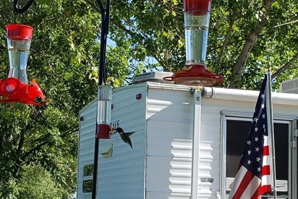 Photo of Outdoor in Clinton