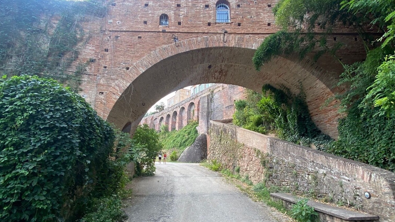 Photo of Outdoor in Coufouleux