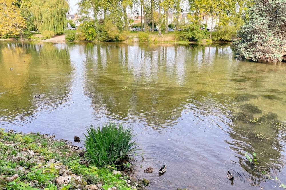 Photo of Others in Vendome