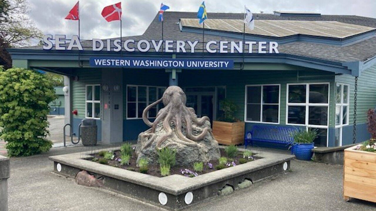 Photo of Outdoor in Poulsbo