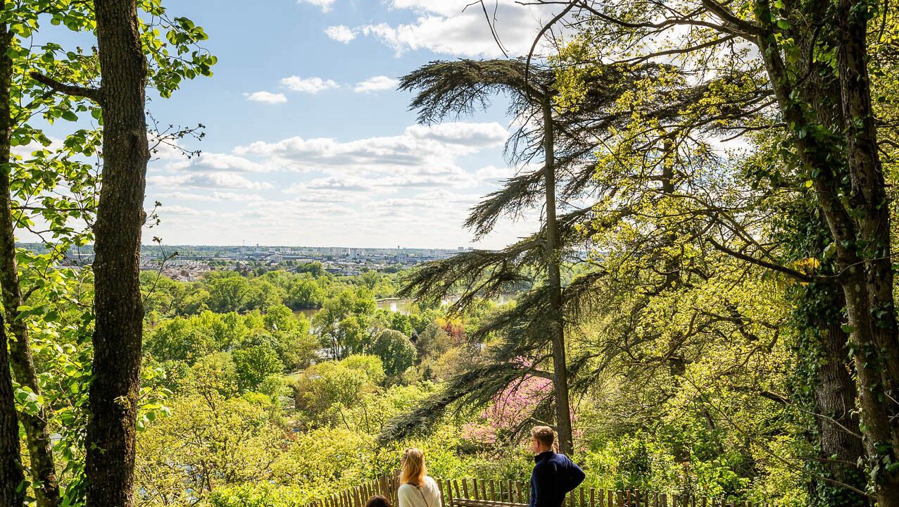 Photo of Outdoor in Rochecorbon