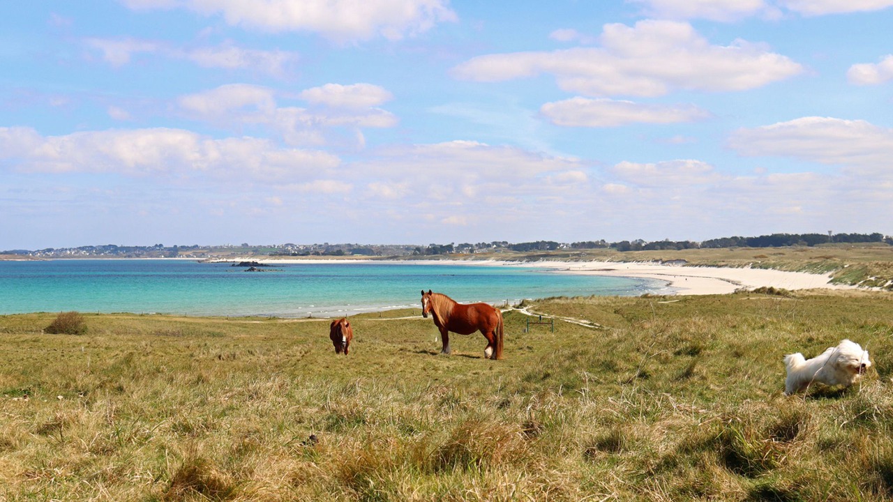Photo of Others in Ploudalmezeau
