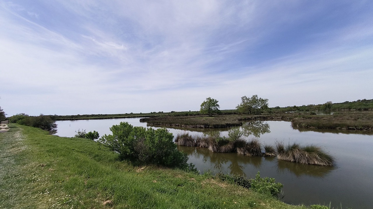 Photo of Others in Audenge