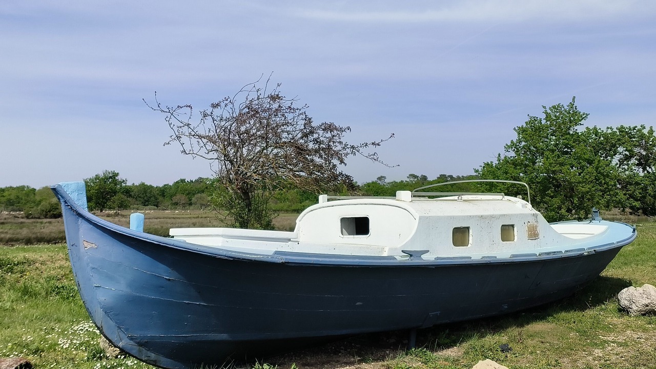 Photo of Outdoor in Audenge