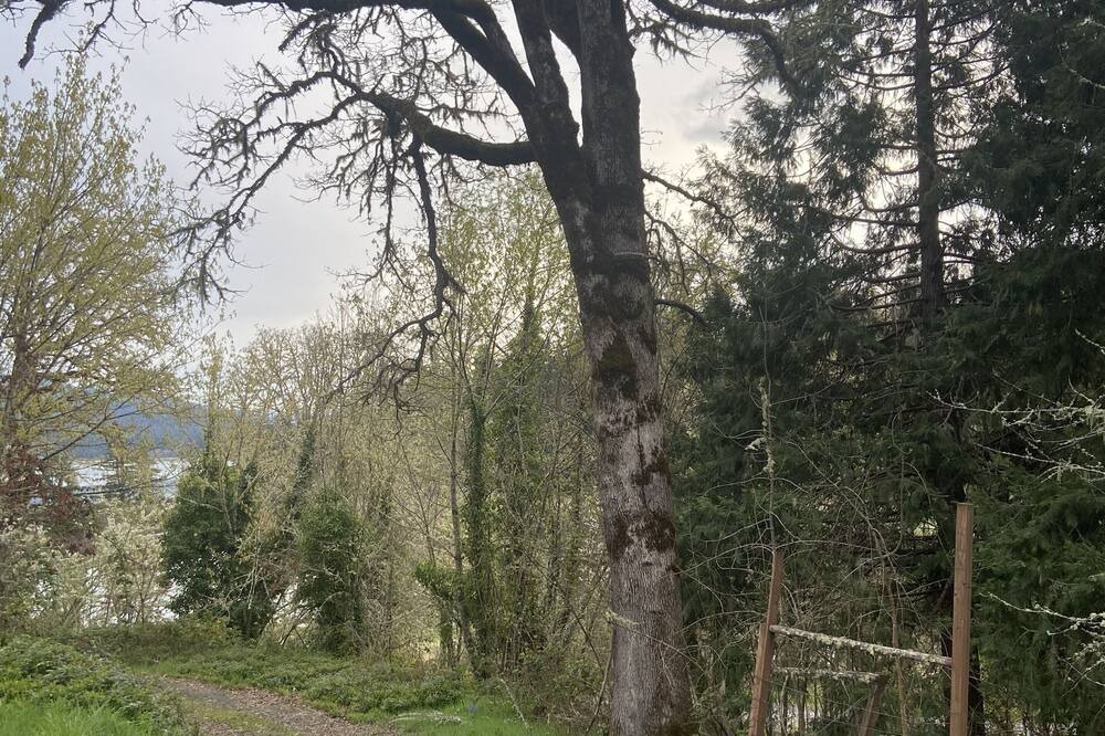 Photo of Outdoor in Cottage Grove