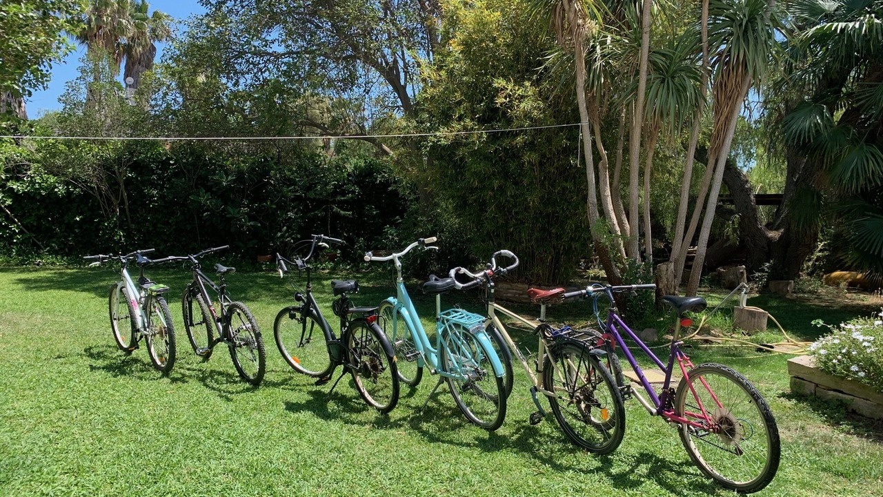 Photo of Outdoor in El Puig de Santa Maria