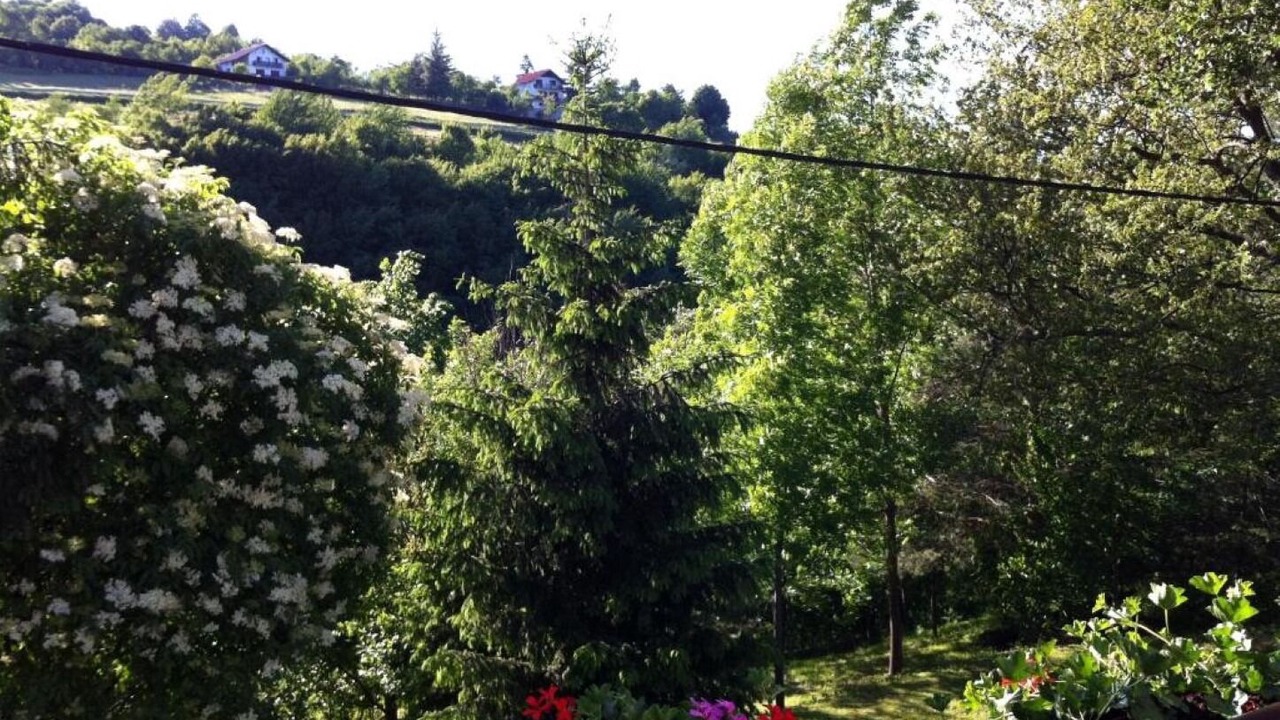 Photo of Bedroom in Smoljanac