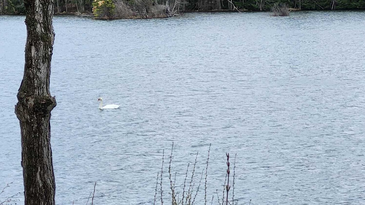 Photo of Others in Frontenac