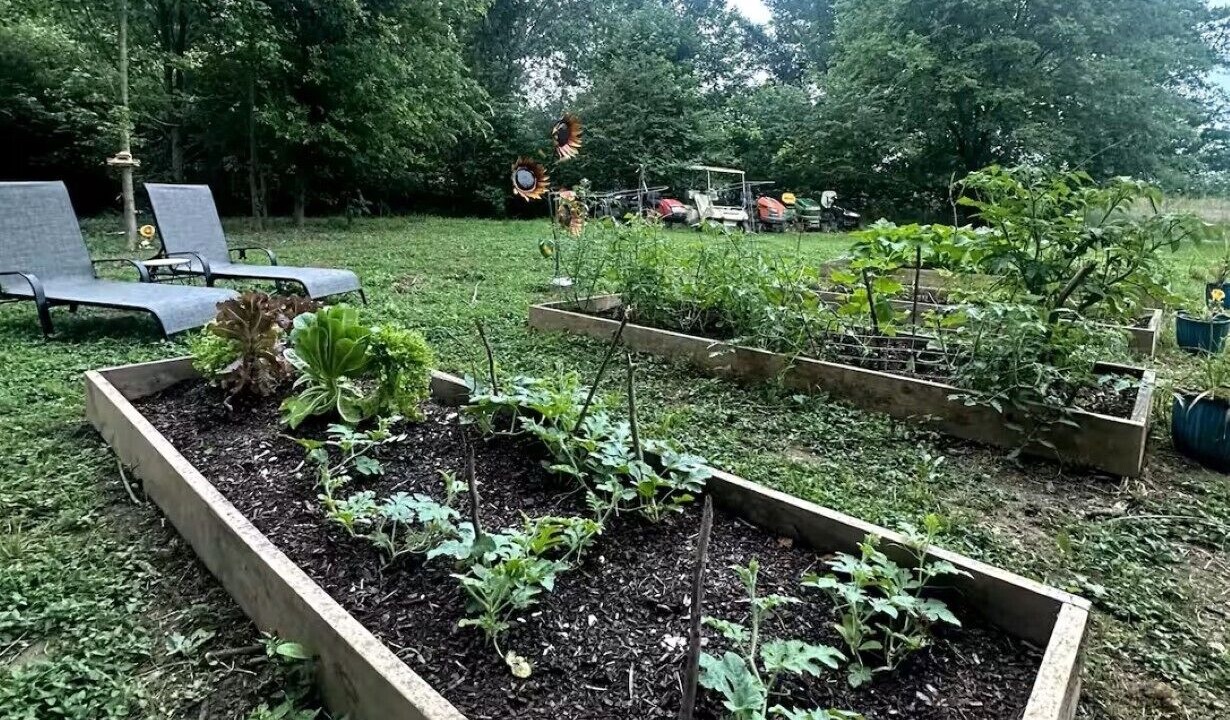 Photo of Outdoor in Mc Caskill