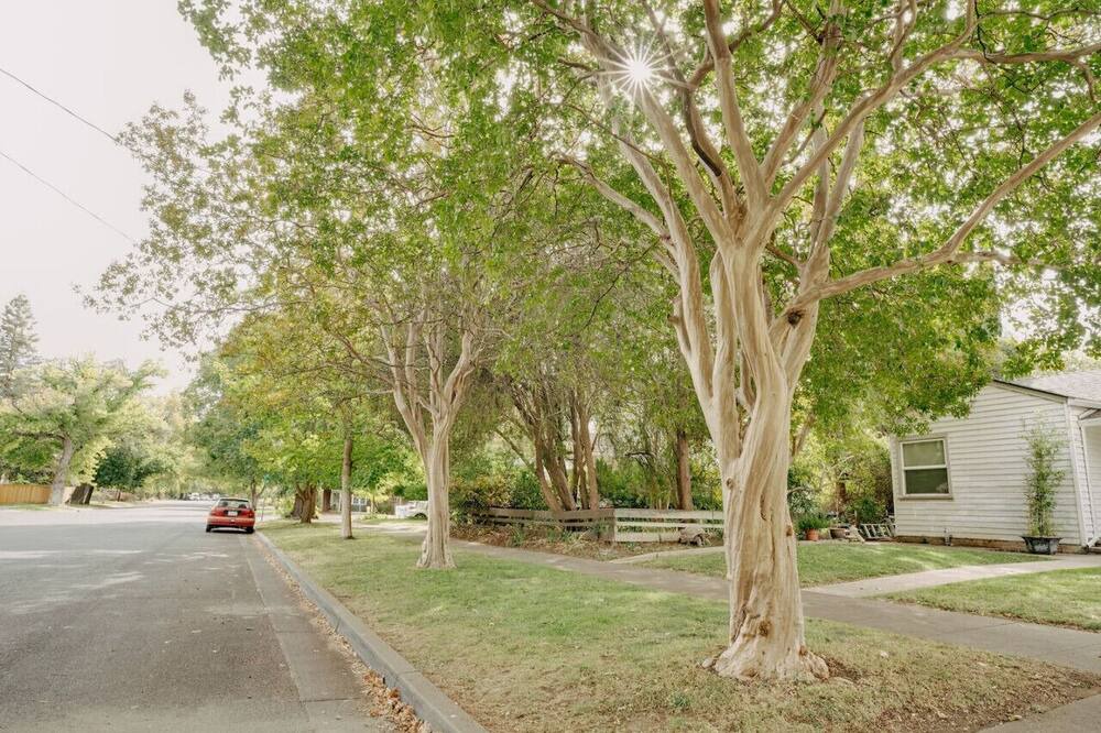 Photo of Outdoor in Chico