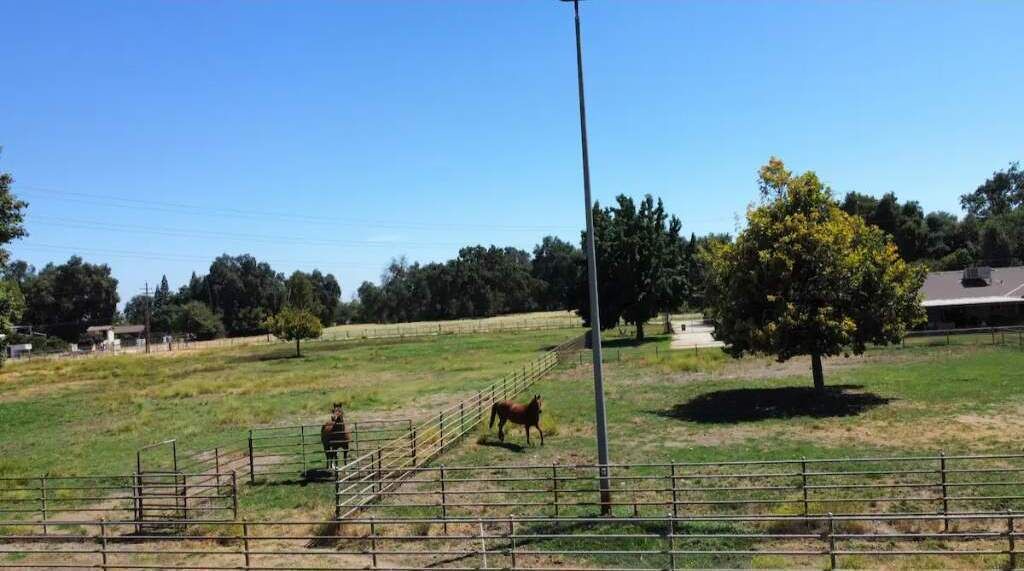 Photo of Others in Sanger