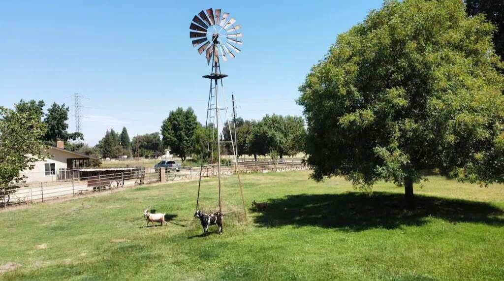 Photo of Outdoor in Sanger