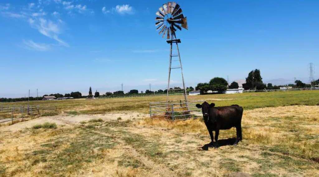 Photo of Others in Sanger